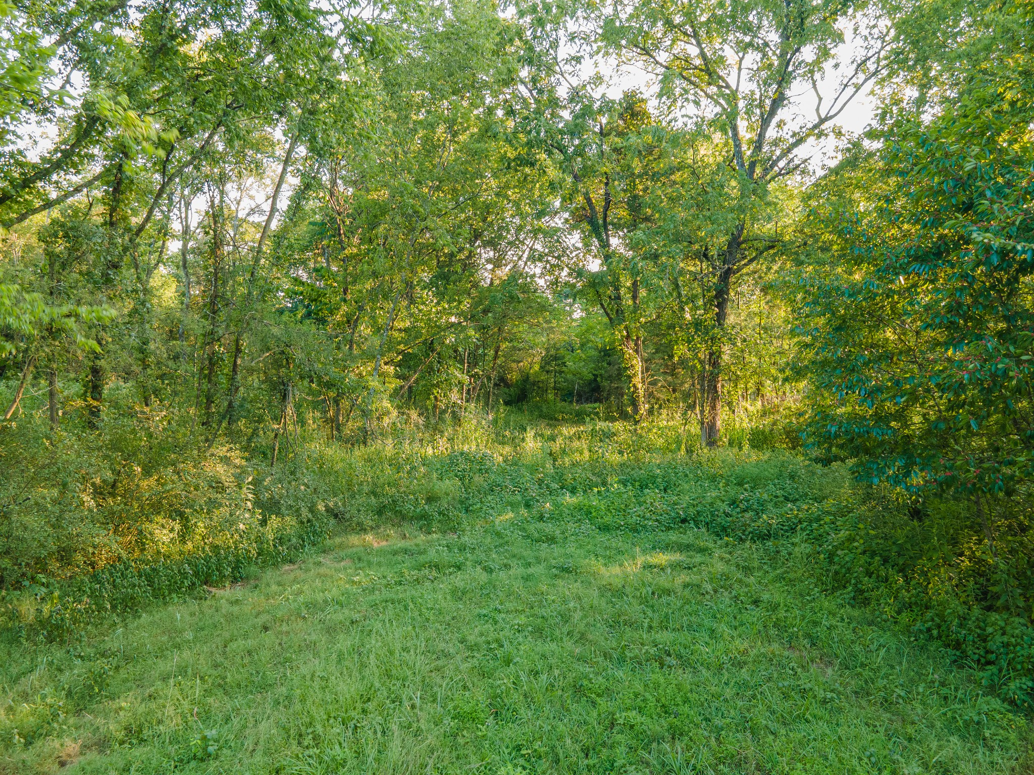 0 Hunter Bills Road Lewisburg TN 37091