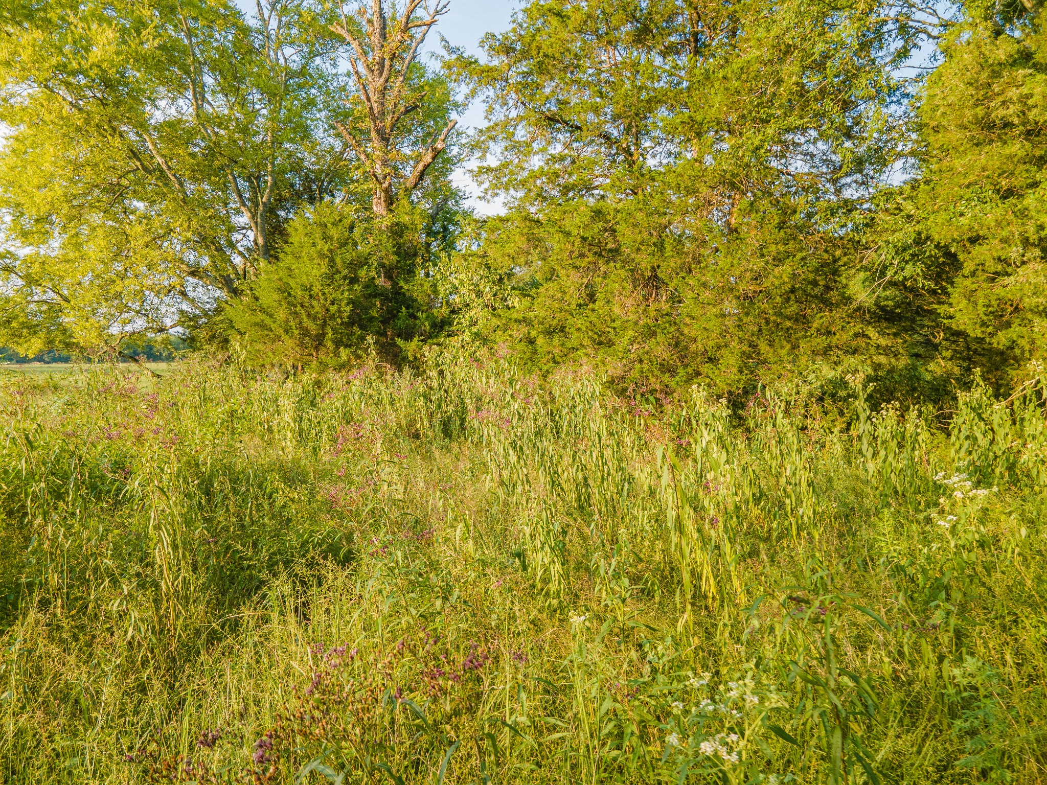 0 Hunter Bills Road Lewisburg TN 37091