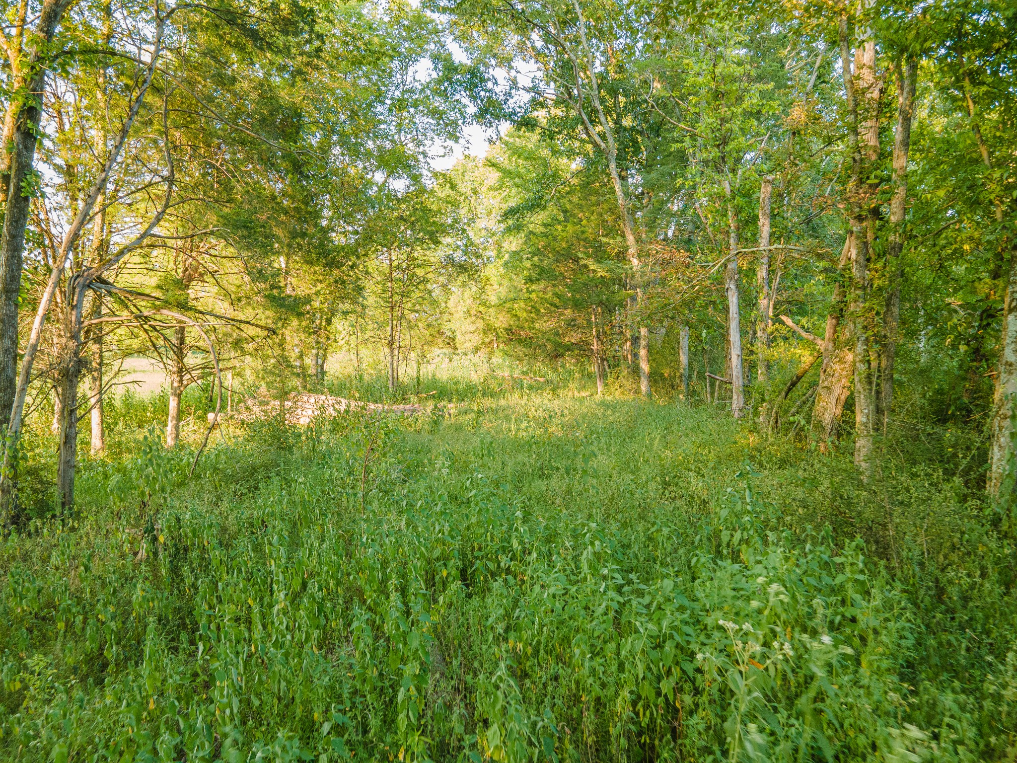 0 Hunter Bills Road Lewisburg TN 37091