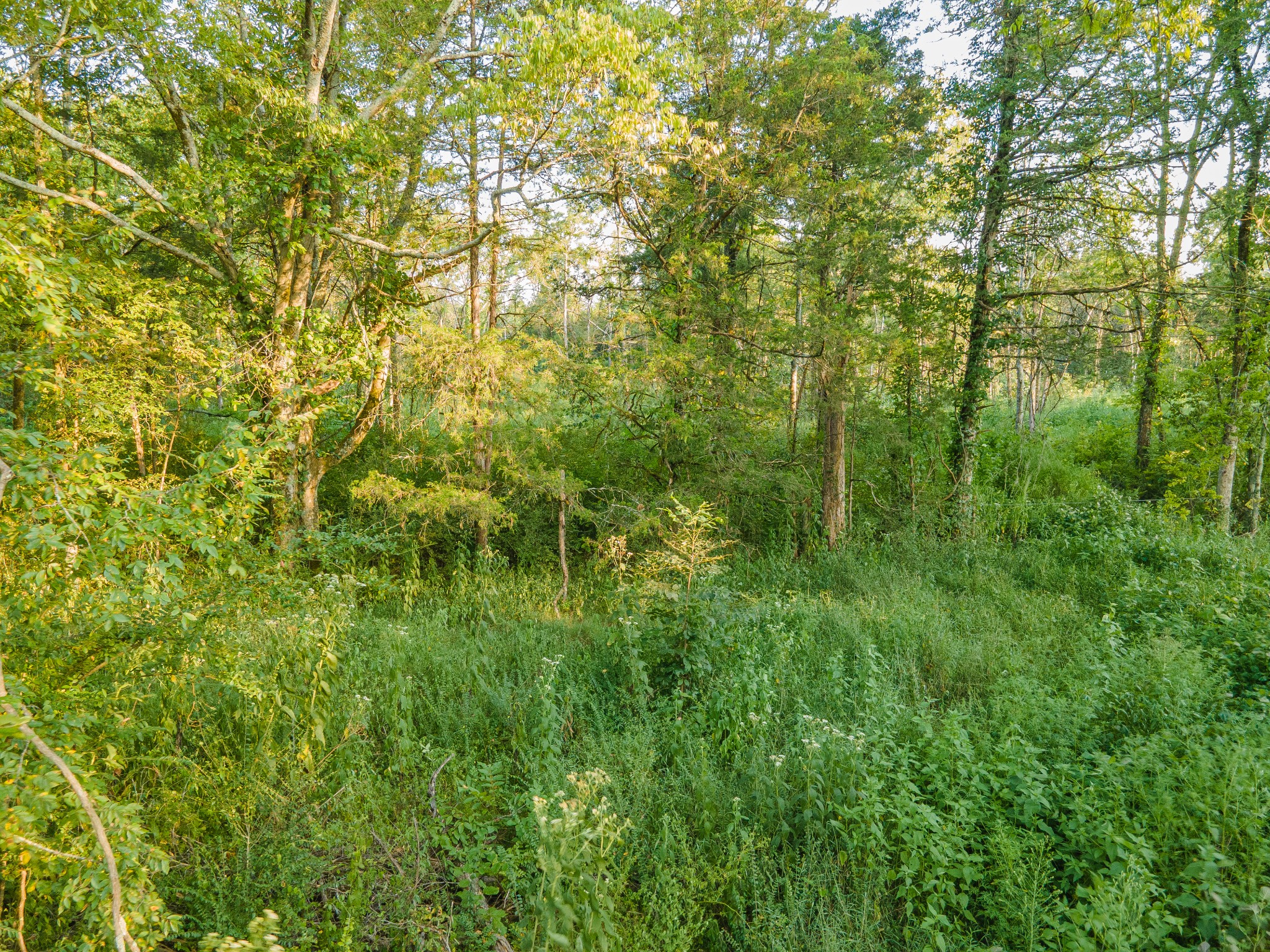 0 Hunter Bills Road Lewisburg TN 37091