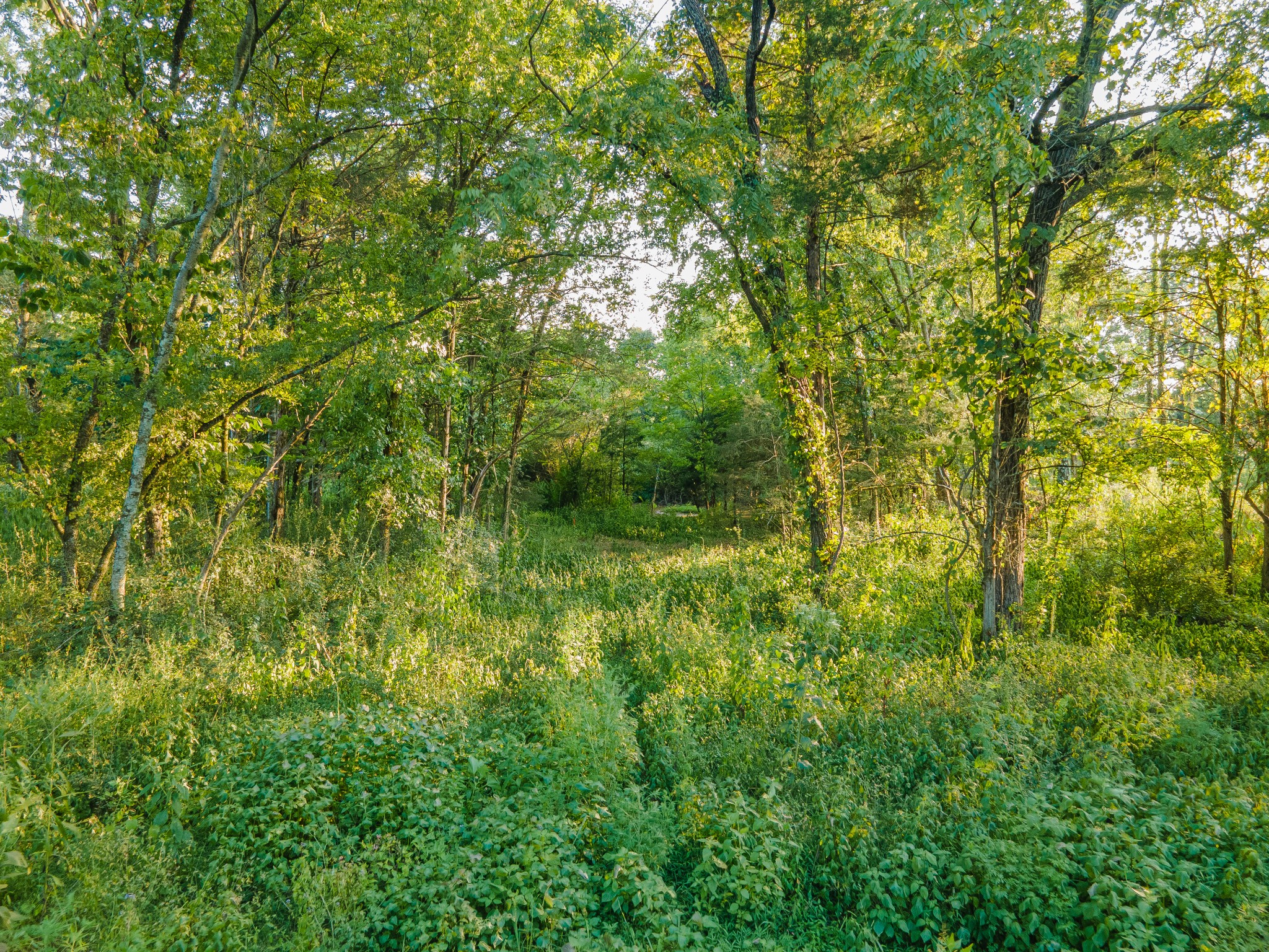 0 Hunter Bills Road Lewisburg TN 37091