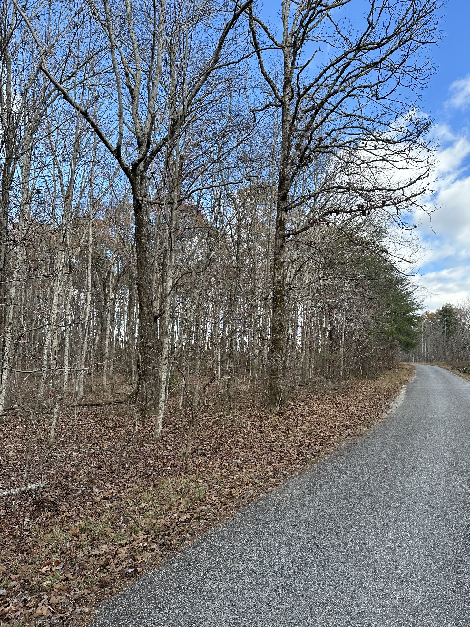 0 Hideaway Cabin Road Altamont TN 37301