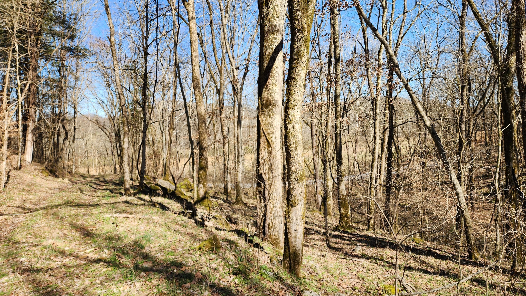 1741 Lancaster Road Lancaster TN 38569