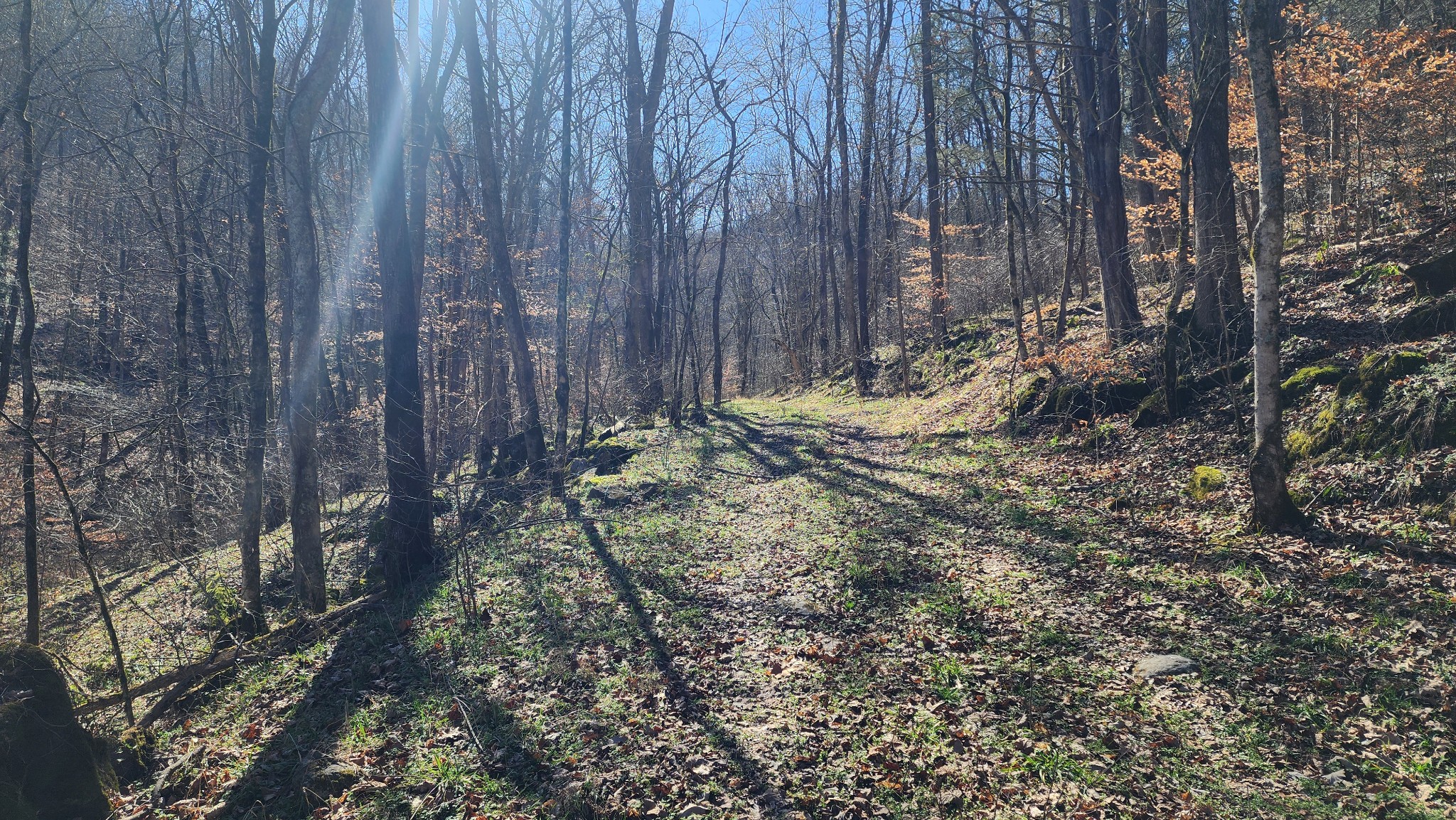 1741 Lancaster Road Lancaster TN 38569