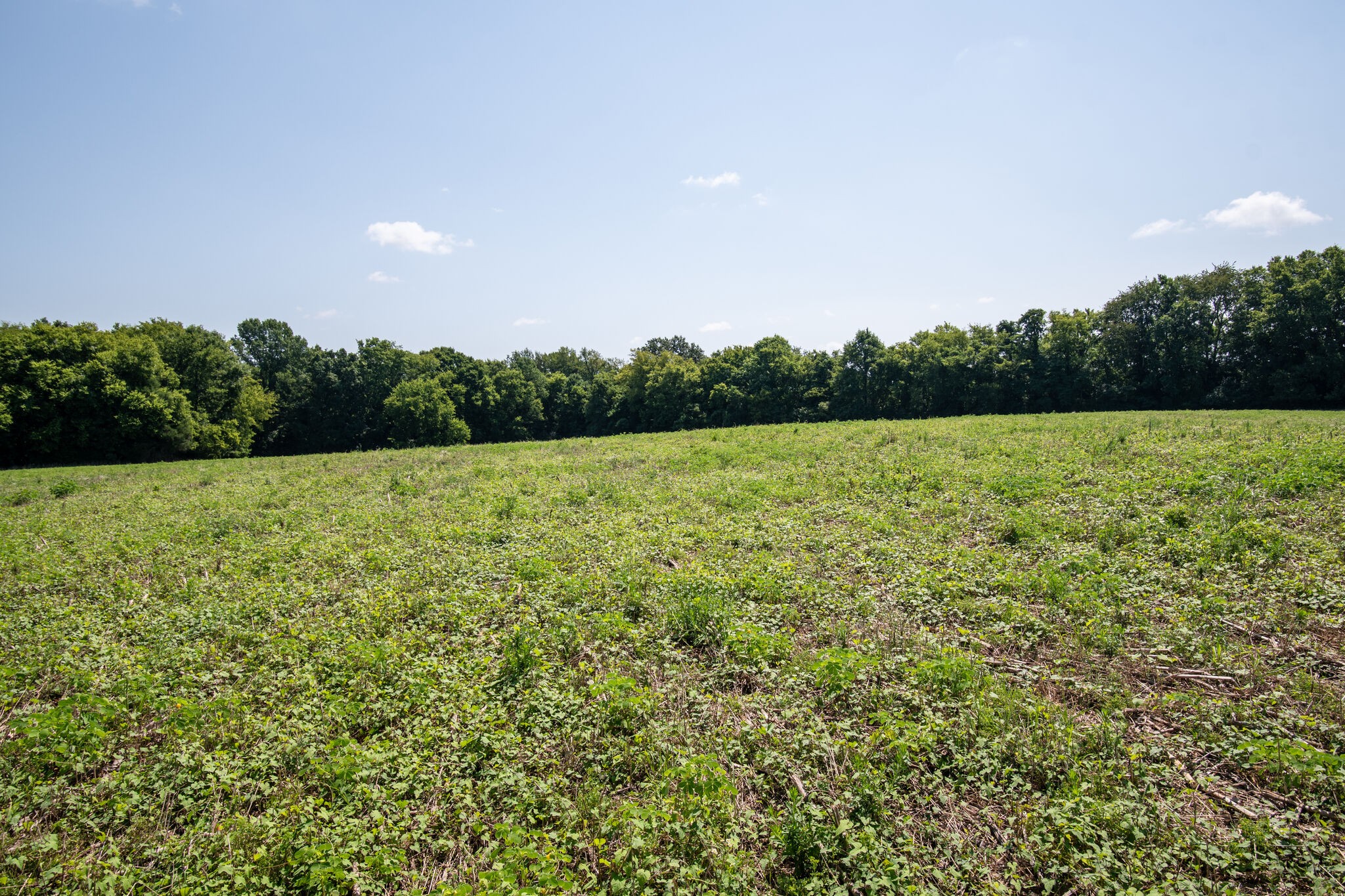 0 Mooresville Pike Columbia TN 38401