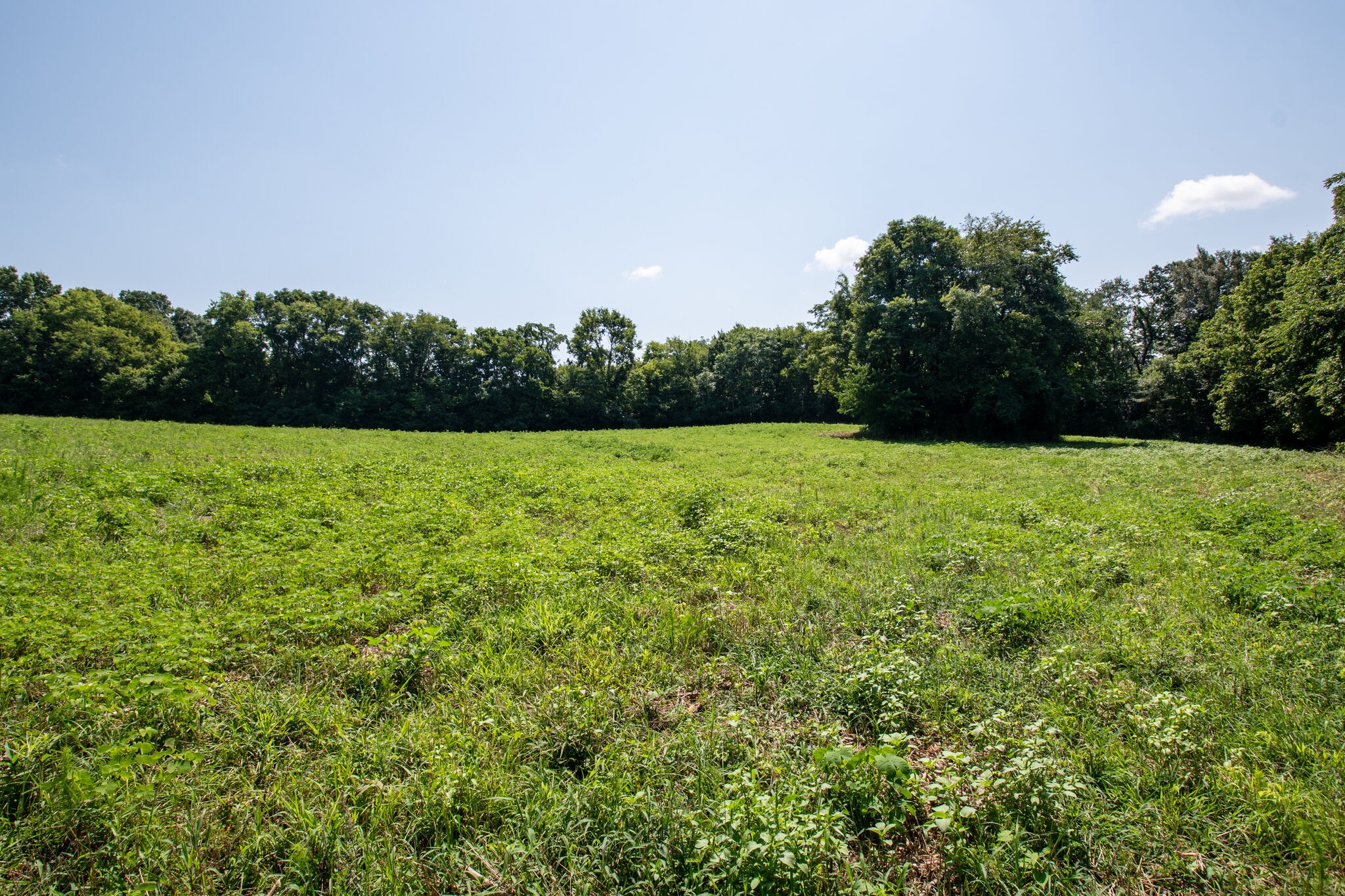 0 Mooresville Pike Columbia TN 38401