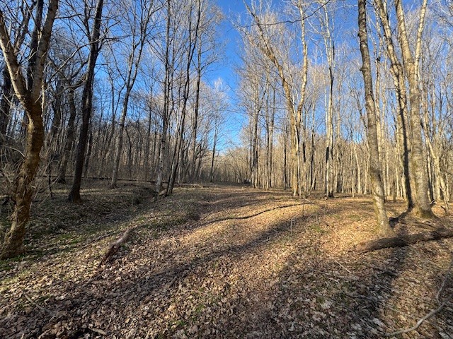 0 Jacobs Road Columbia TN 38401