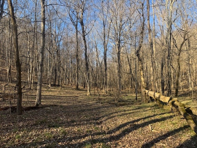 0 Jacobs Road Columbia TN 38401