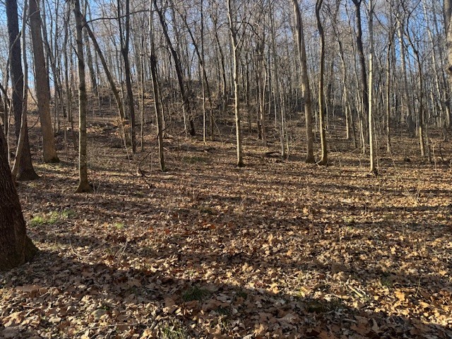 0 Jacobs Road Columbia TN 38401