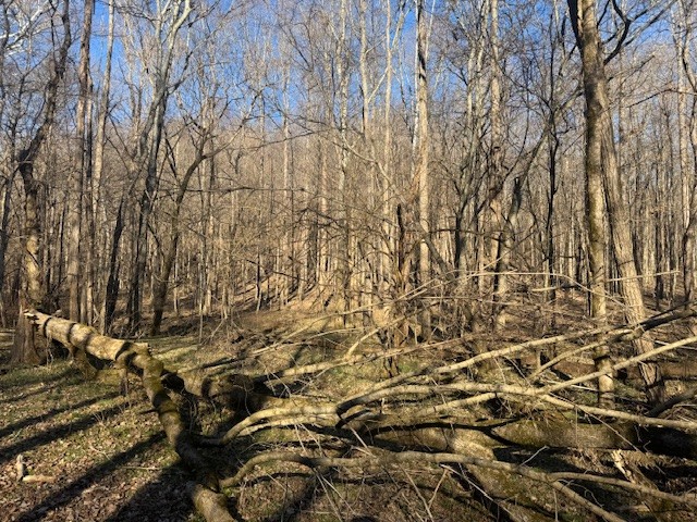 0 Jacobs Road Columbia TN 38401