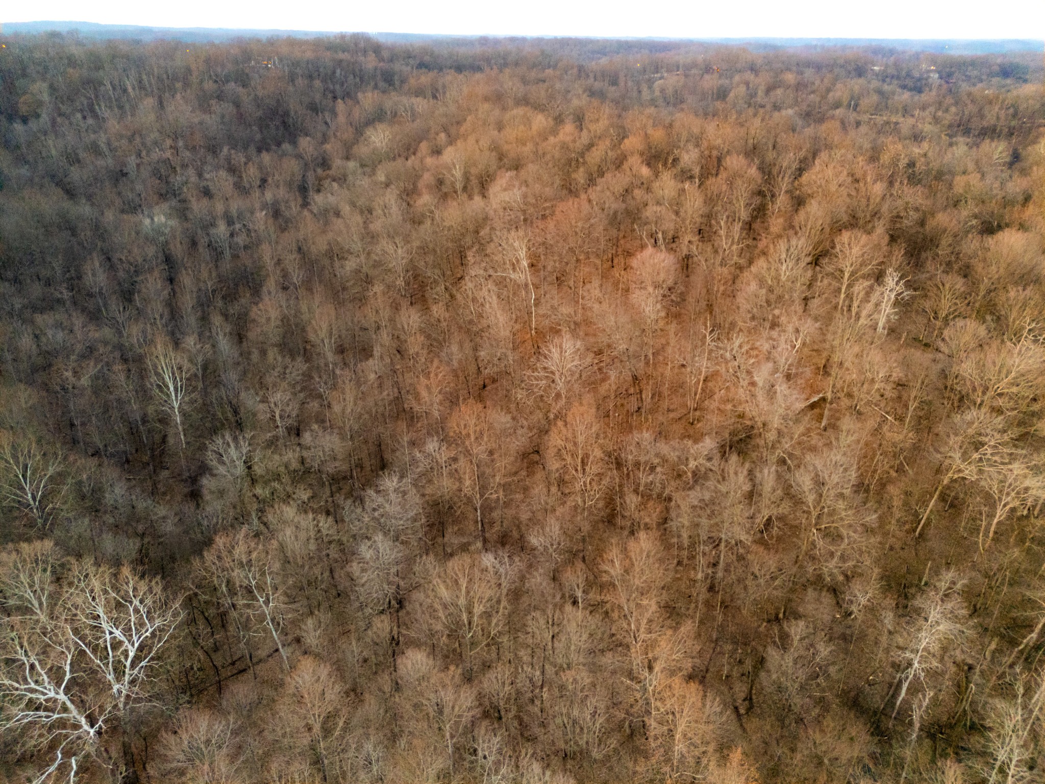 0 Jacobs Road Columbia TN 38401
