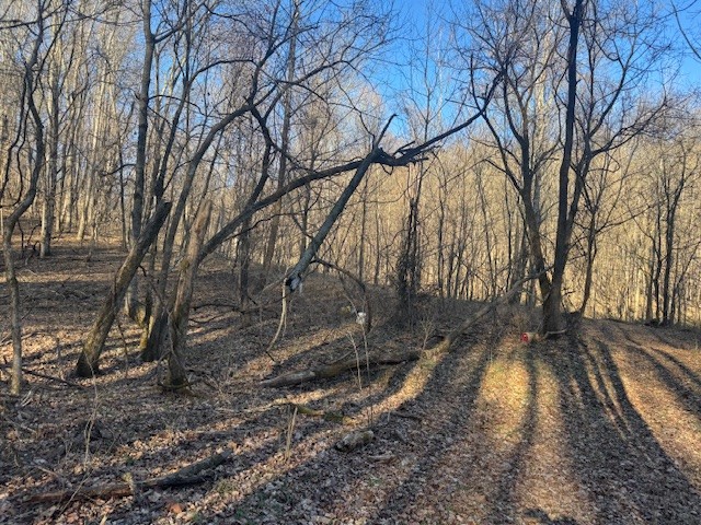 0 Jacobs Road Columbia TN 38401