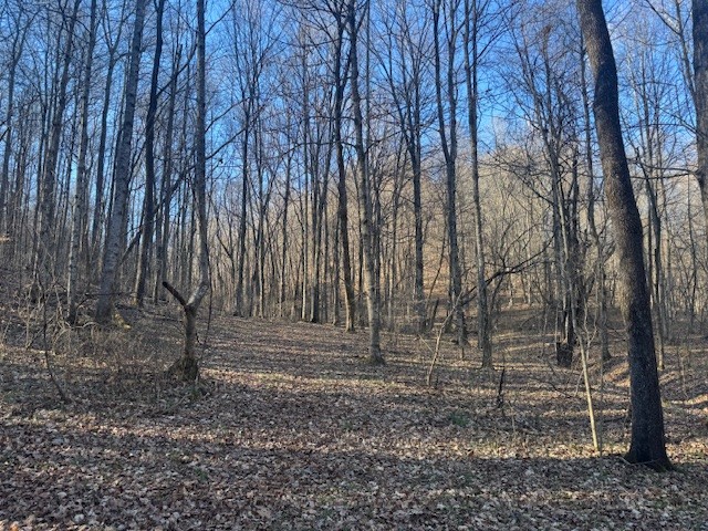 0 Jacobs Road Columbia TN 38401