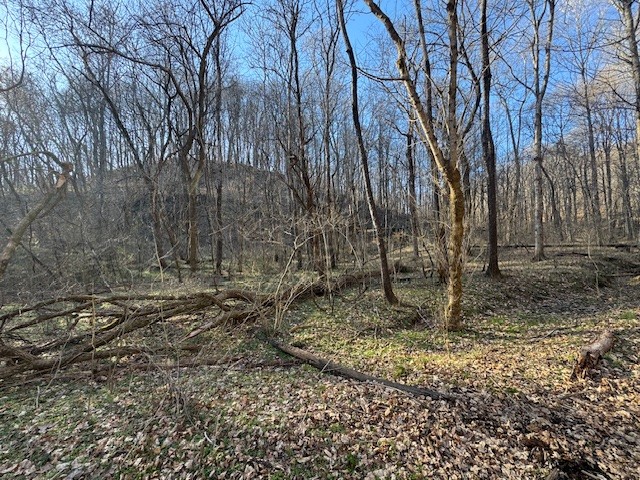 0 Jacobs Road Columbia TN 38401