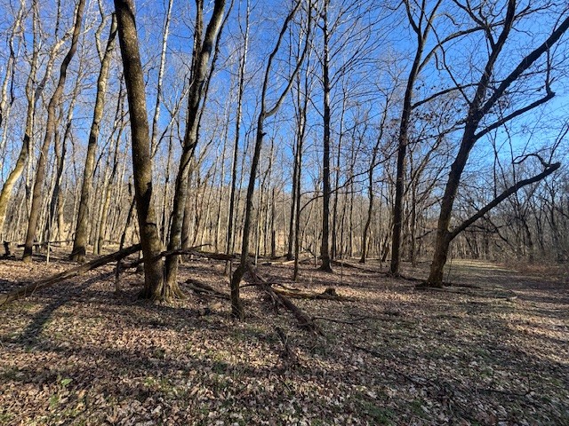 0 Jacobs Road Columbia TN 38401