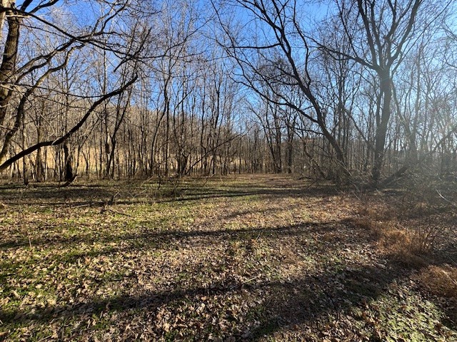 0 Jacobs Road Columbia TN 38401