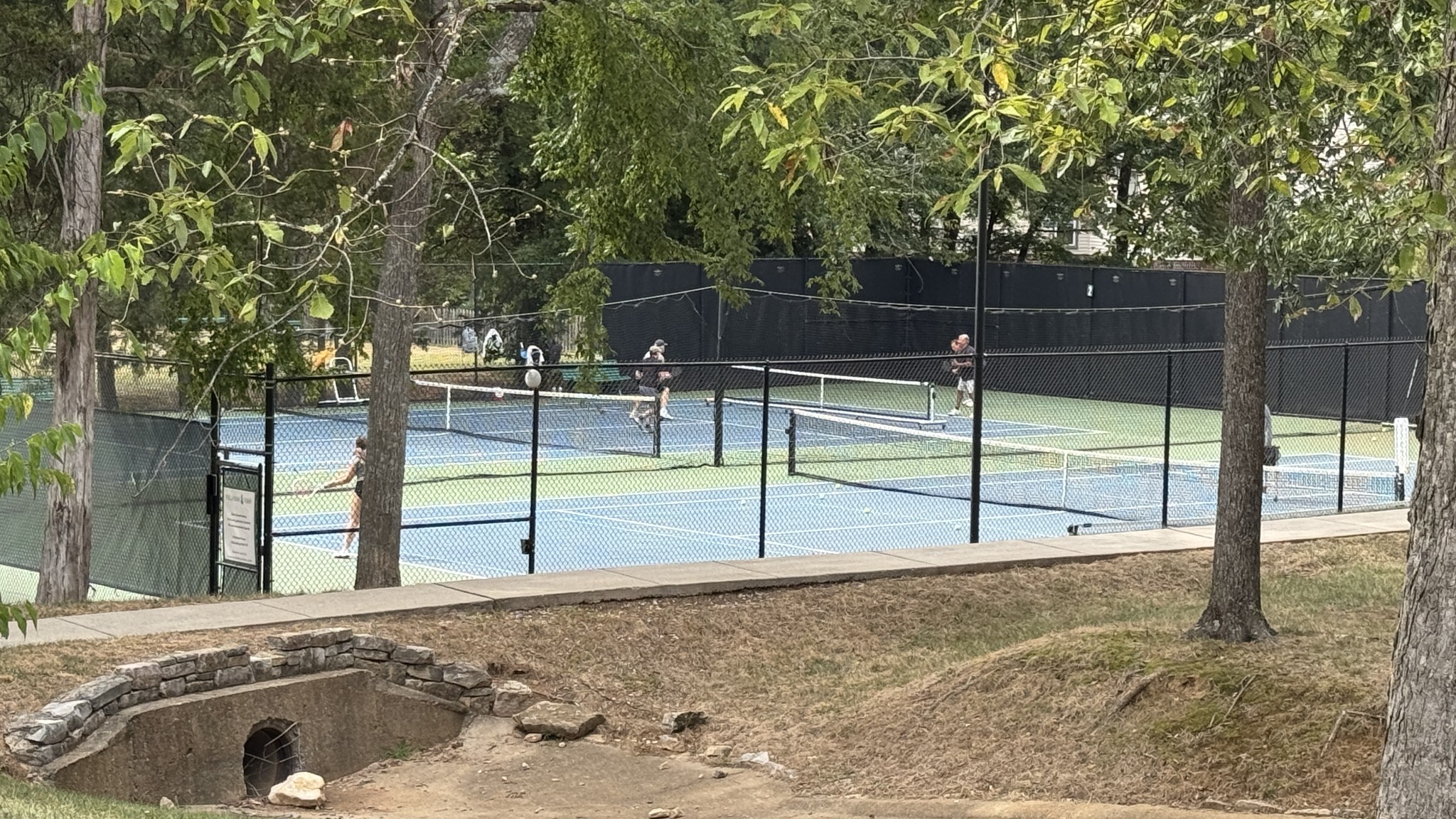 317 Hanley Lane Franklin TN 37069