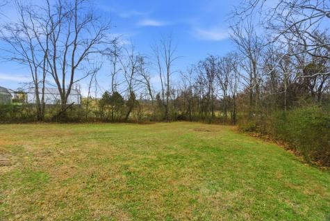 230 Woodruff Road Adams TN 37010