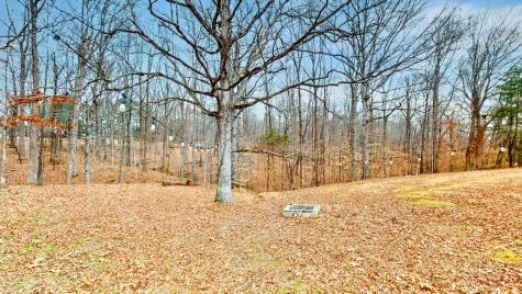 1007 Twin Oaks Drive White Bluff TN 37187