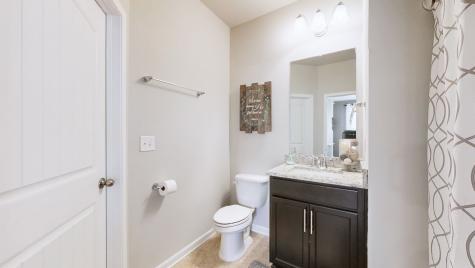 4141 Grapevine Loop Smyrna TN 37167