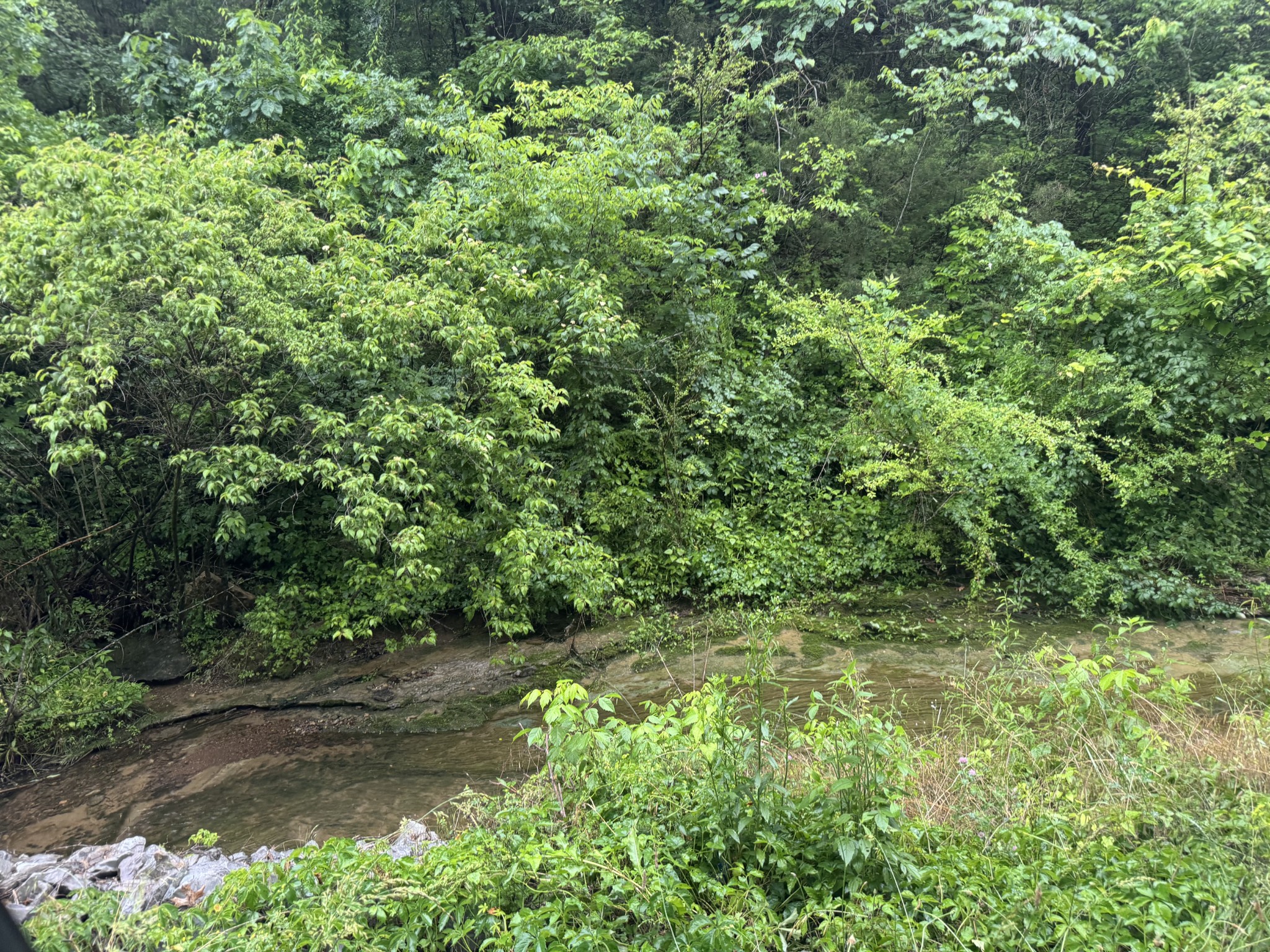 197 Blue Smith Road Cornersville TN 37047