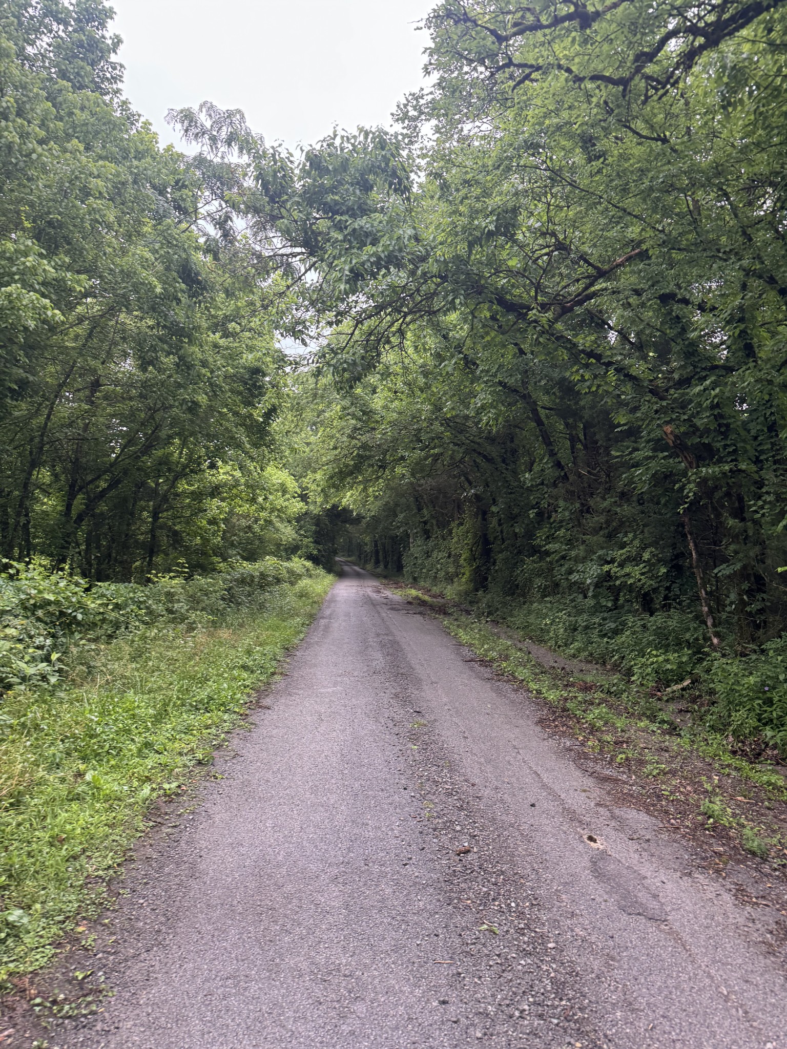 197 Blue Smith Road Cornersville TN 37047
