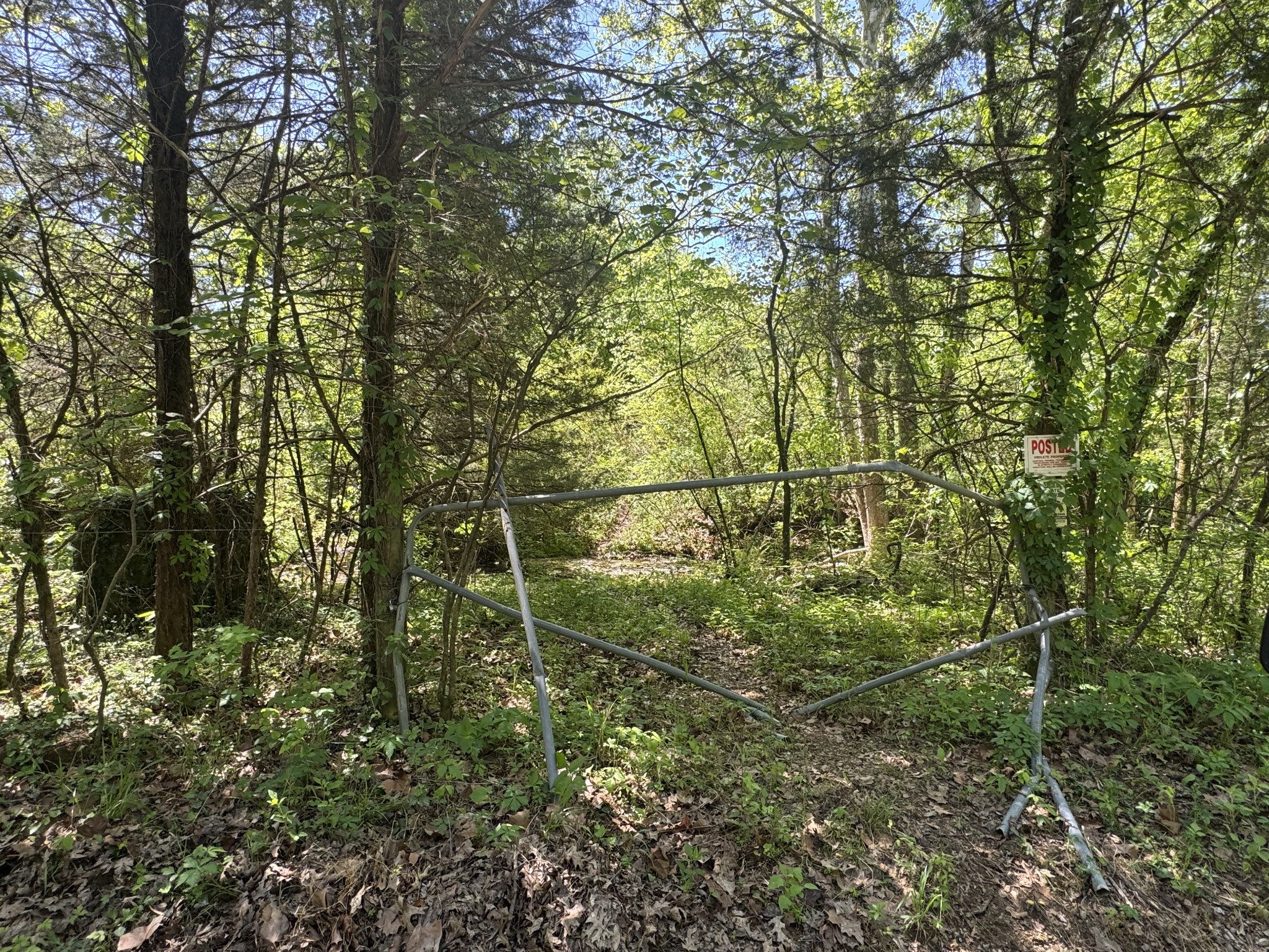 197 Blue Smith Road Cornersville TN 37047