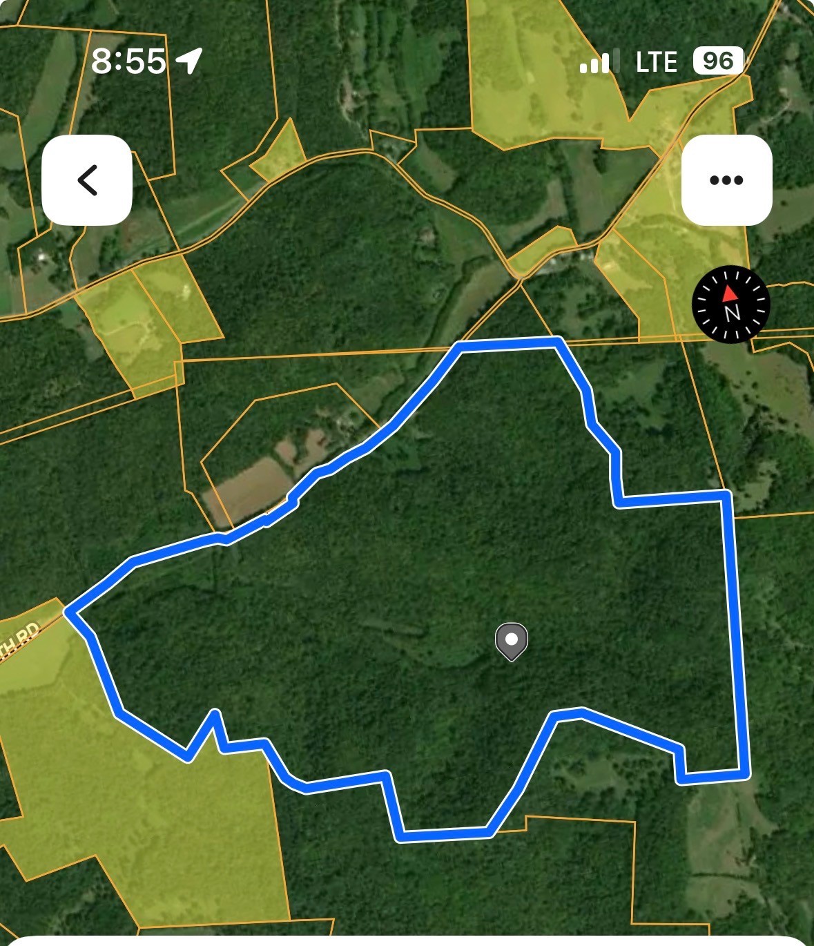 197 Blue Smith Road Cornersville TN 37047