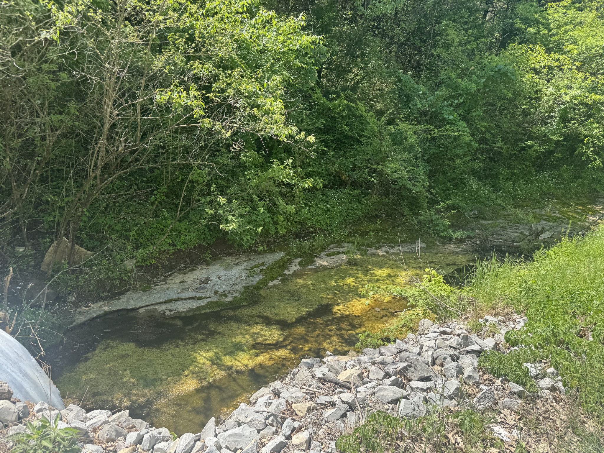 197 Blue Smith Road Cornersville TN 37047