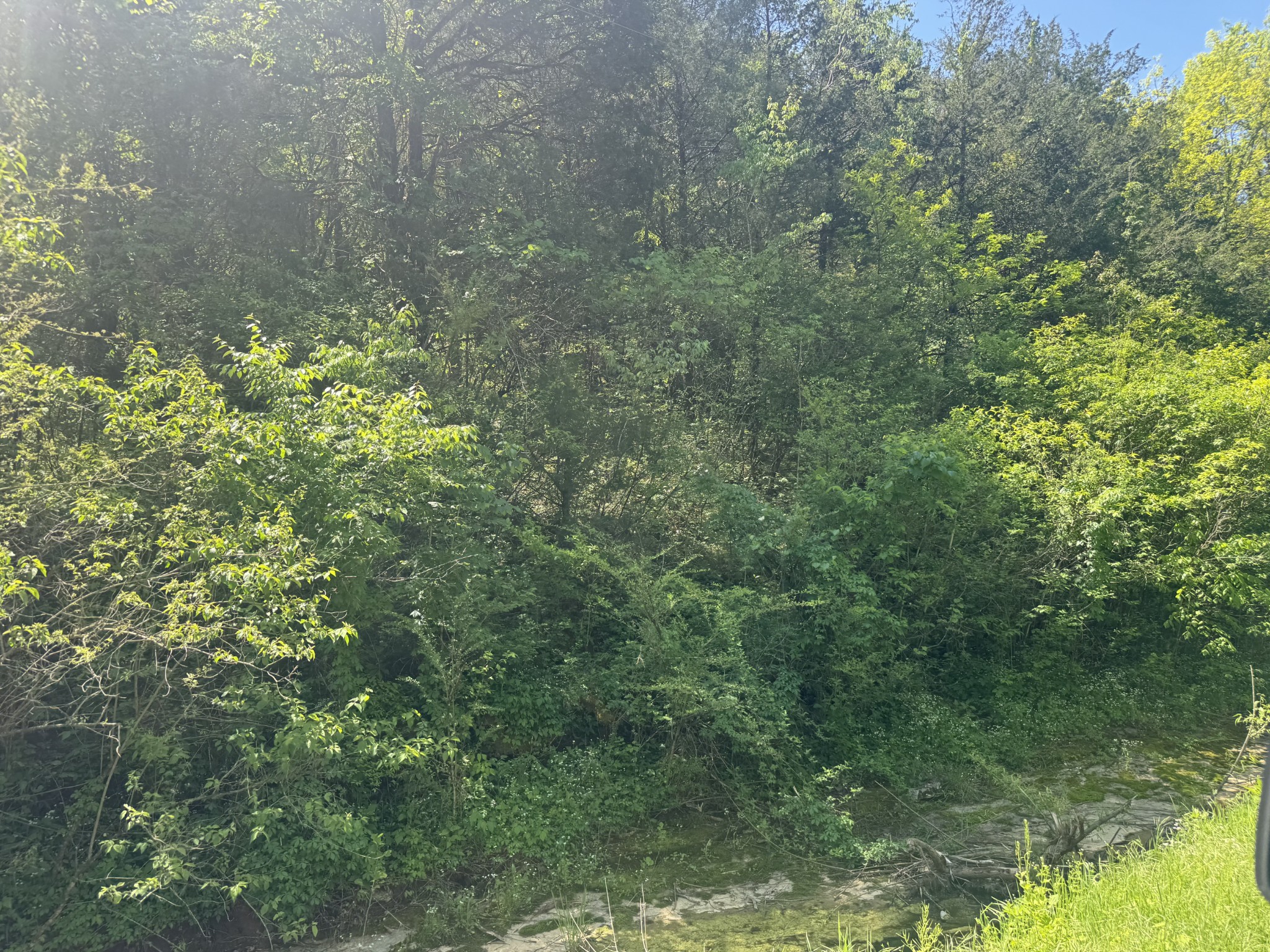 197 Blue Smith Road Cornersville TN 37047