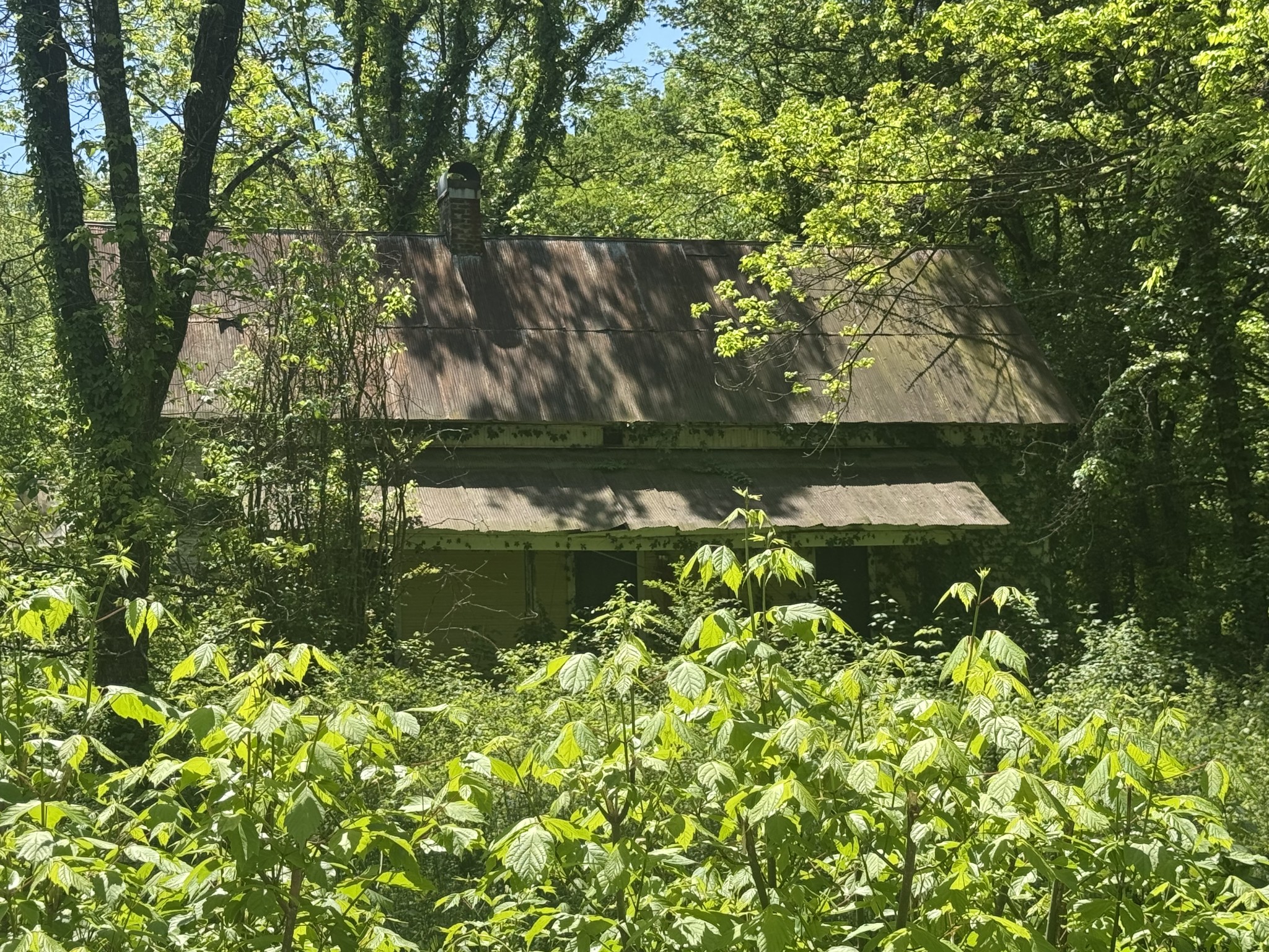 197 Blue Smith Road Cornersville TN 37047