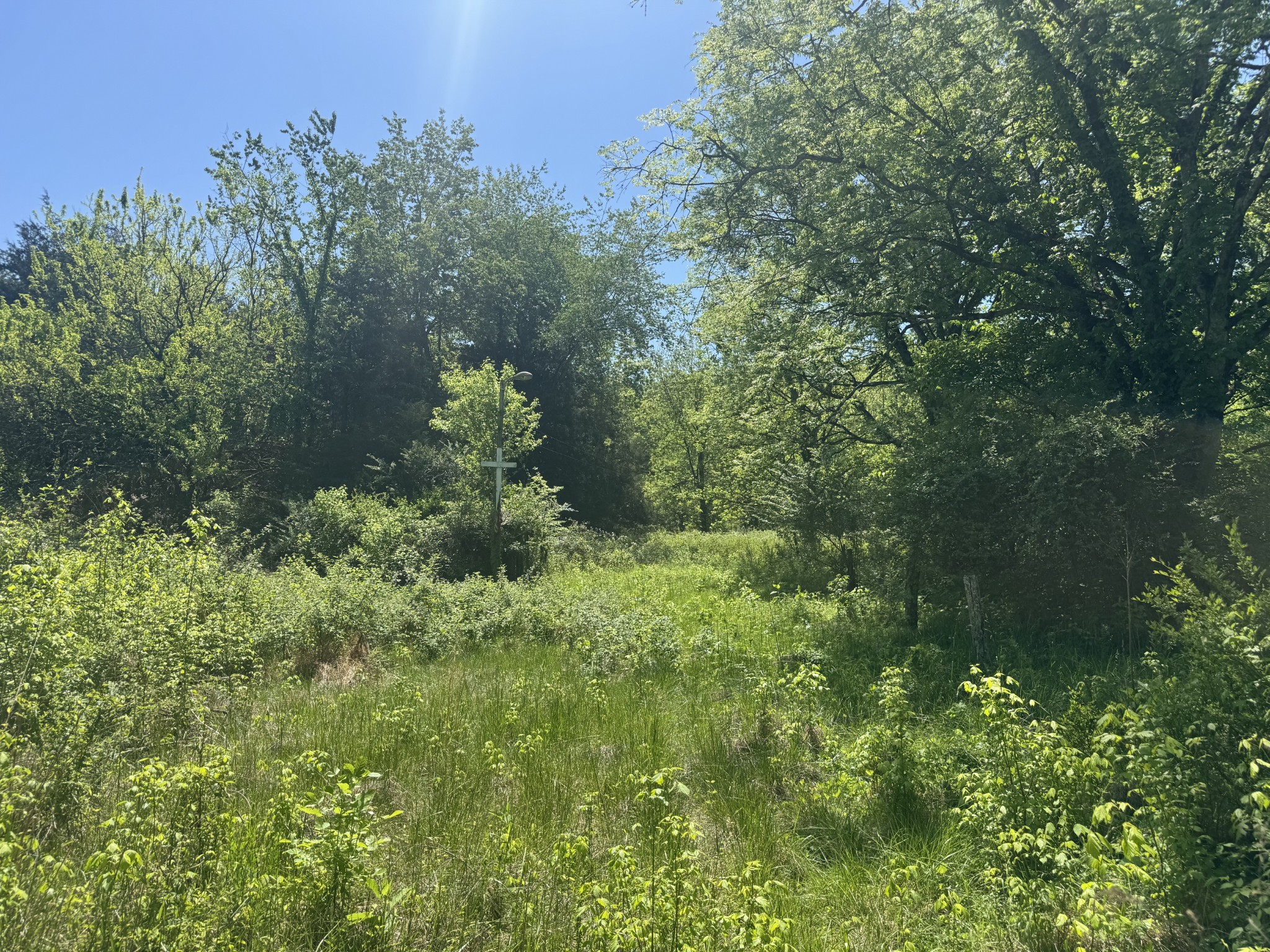 197 Blue Smith Road Cornersville TN 37047