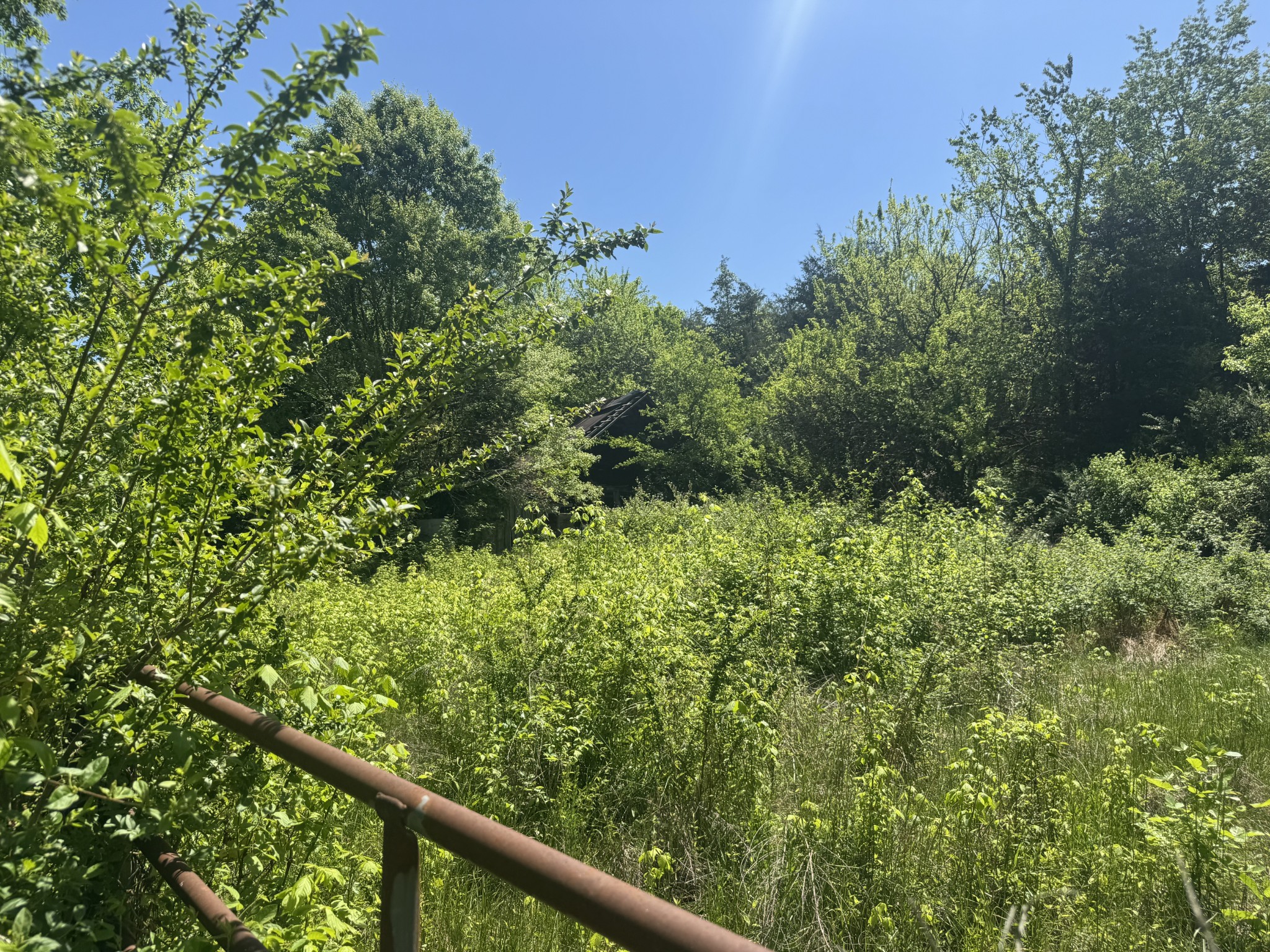 197 Blue Smith Road Cornersville TN 37047