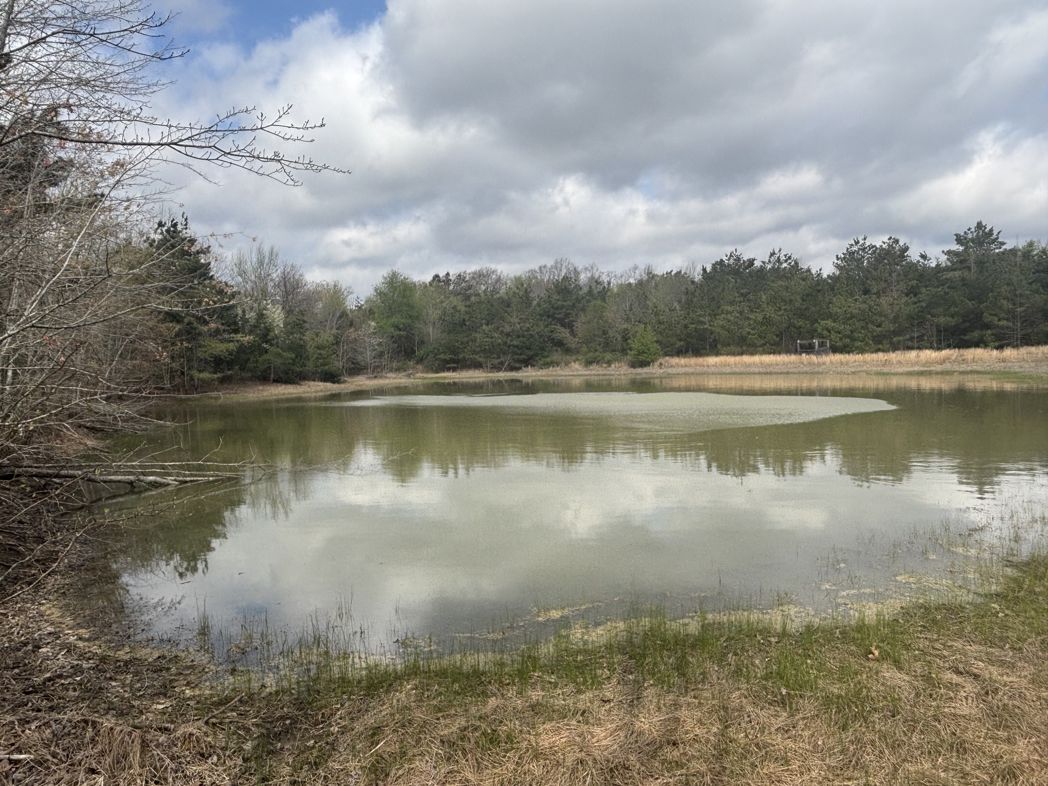 1275 Highway 48, S Dickson TN 37055