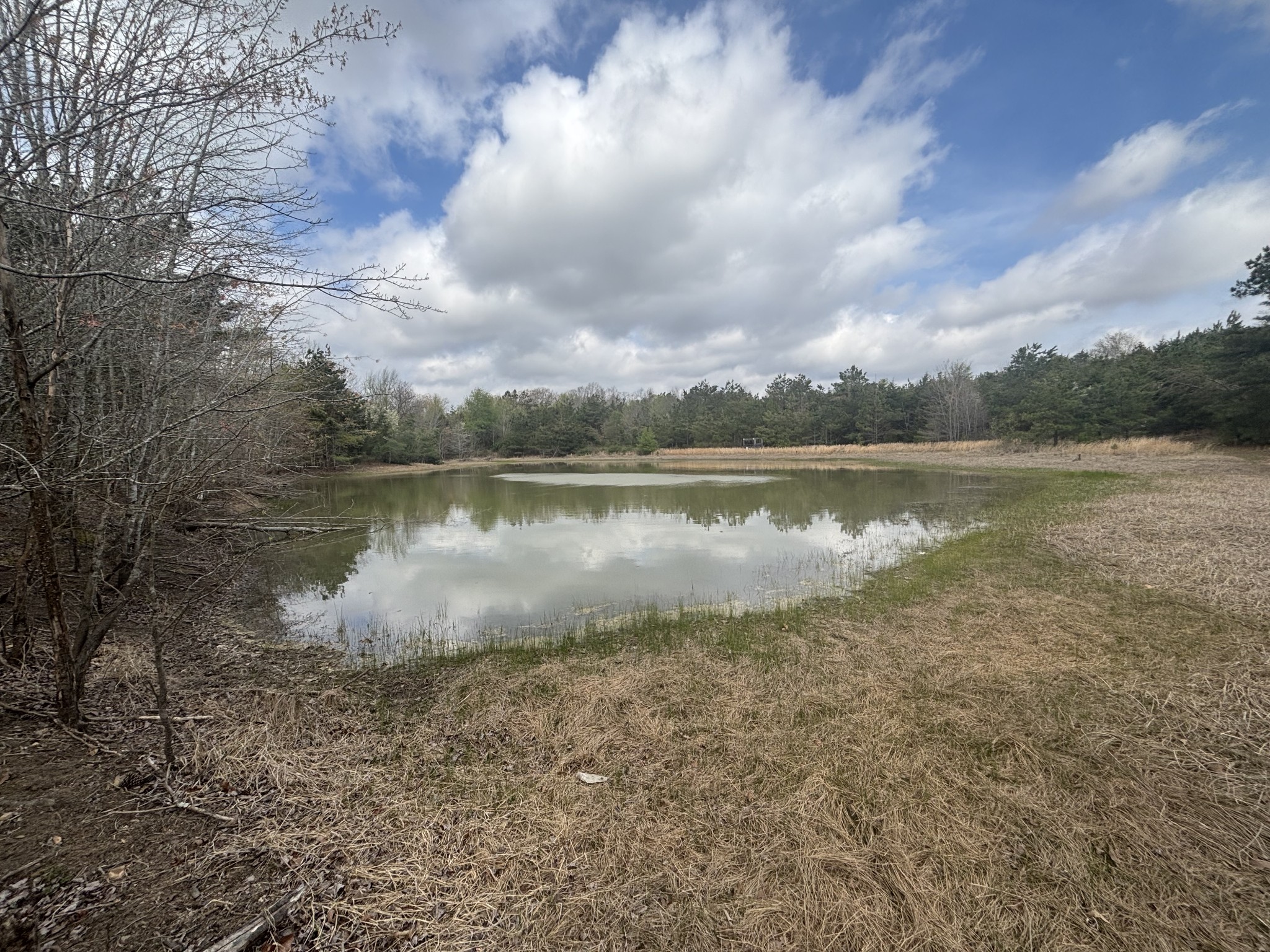1275 Highway 48, S Dickson TN 37055