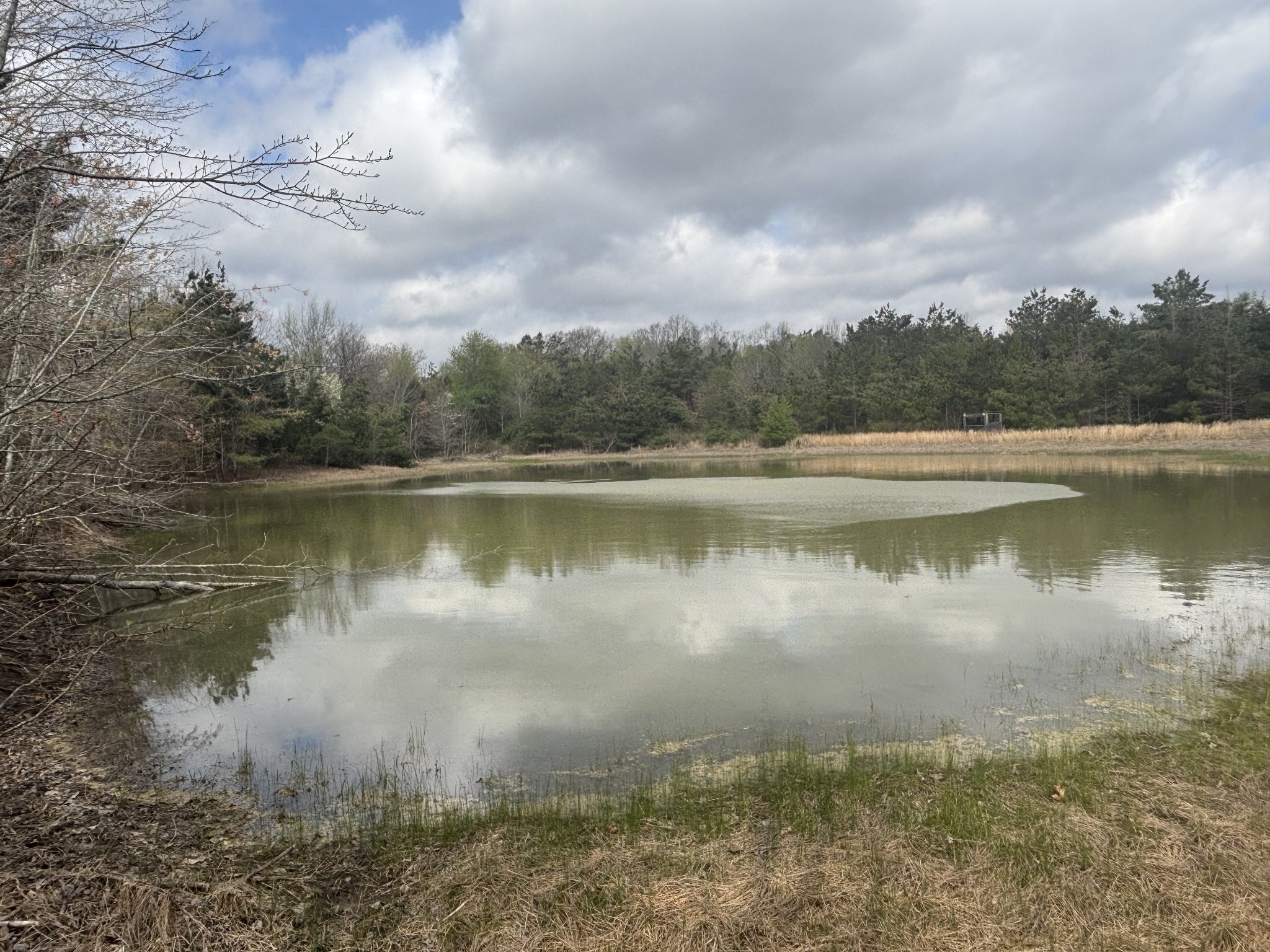 1275 Highway 48, S Dickson TN 37055