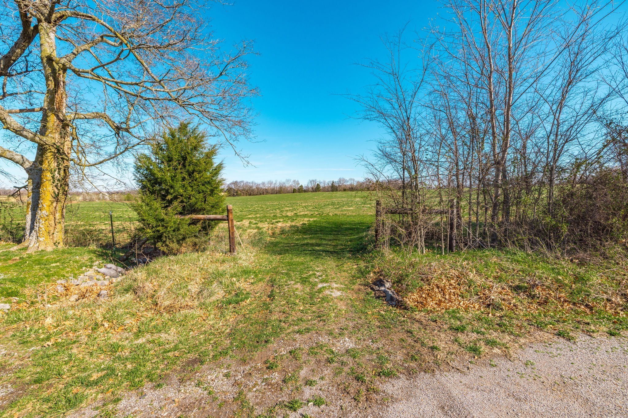 0 Clearview Road Cottontown TN 37048