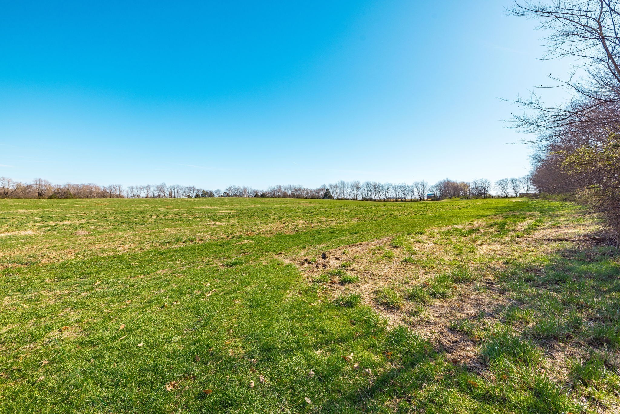 0 Clearview Road Cottontown TN 37048