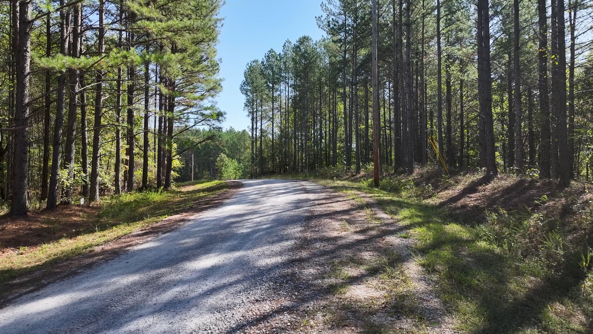 0 Bear Hollow Drive Waverly TN 37185