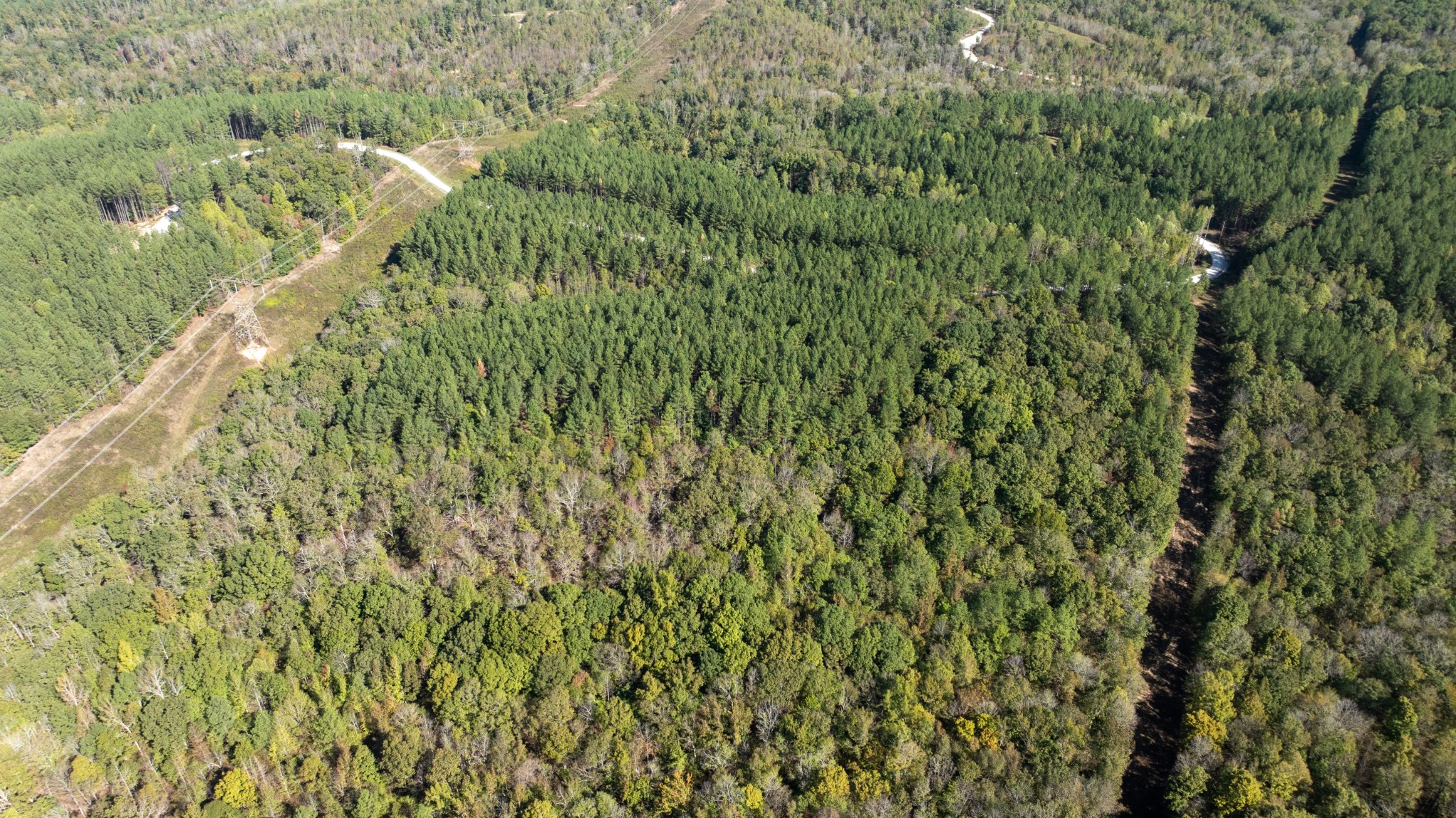 0 Bear Hollow Drive Waverly TN 37185