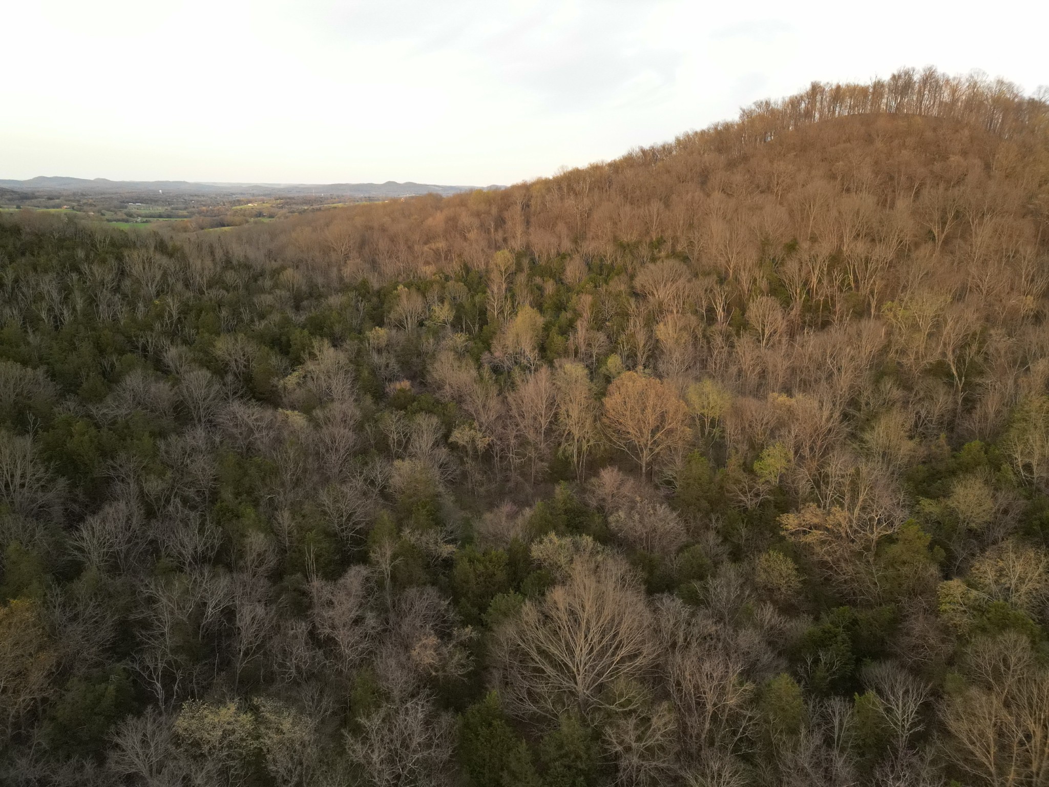 0 Rock Springs Road Watertown TN 37184