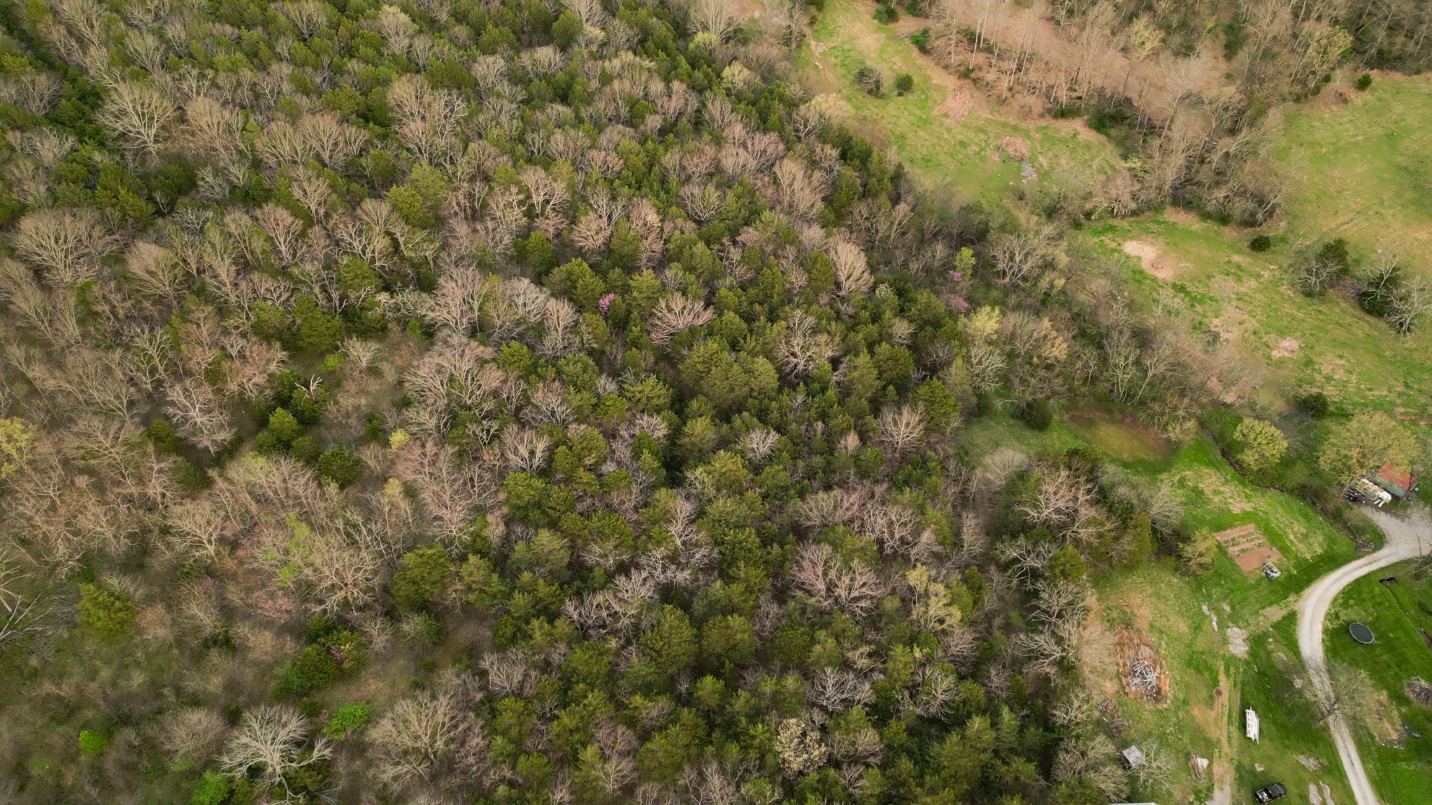 0 Rock Springs Road Watertown TN 37184