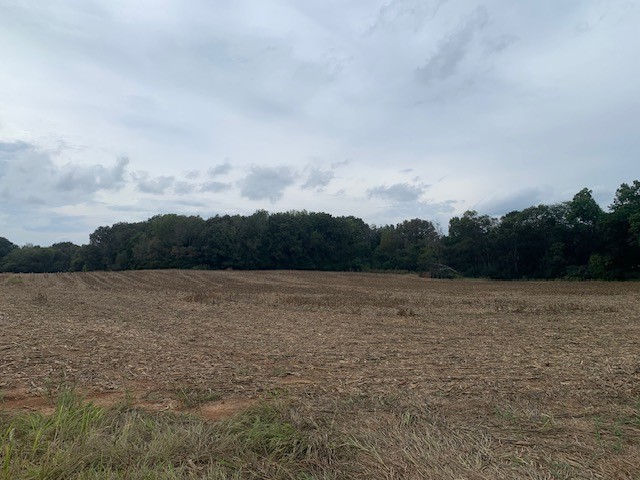 0 Dotsonville Road Clarksville TN 37042