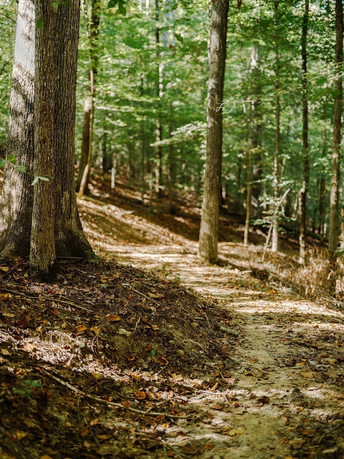 0 Pinewood Road Franklin TN 37064