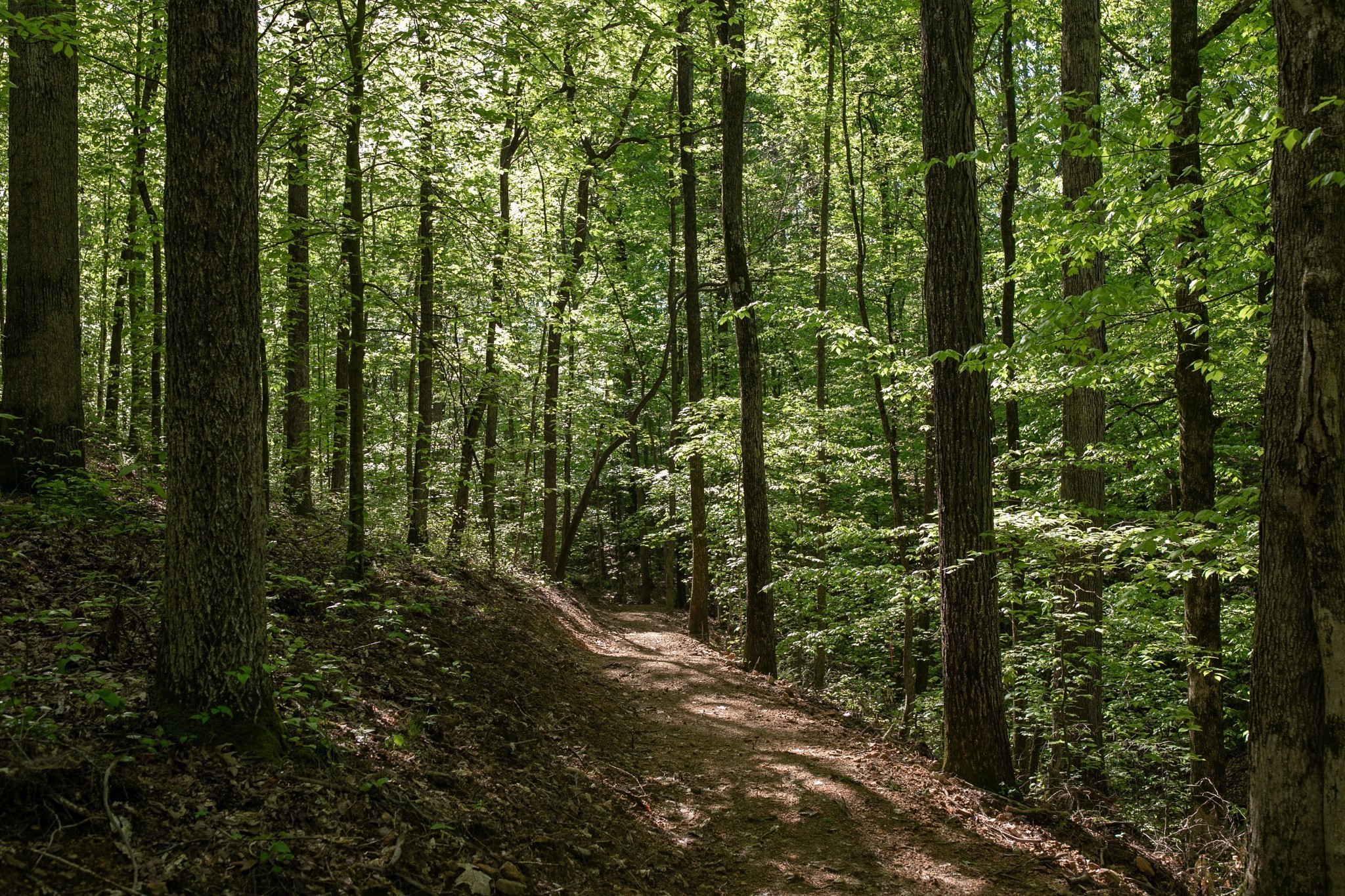 0 Pinewood Road Franklin TN 37064