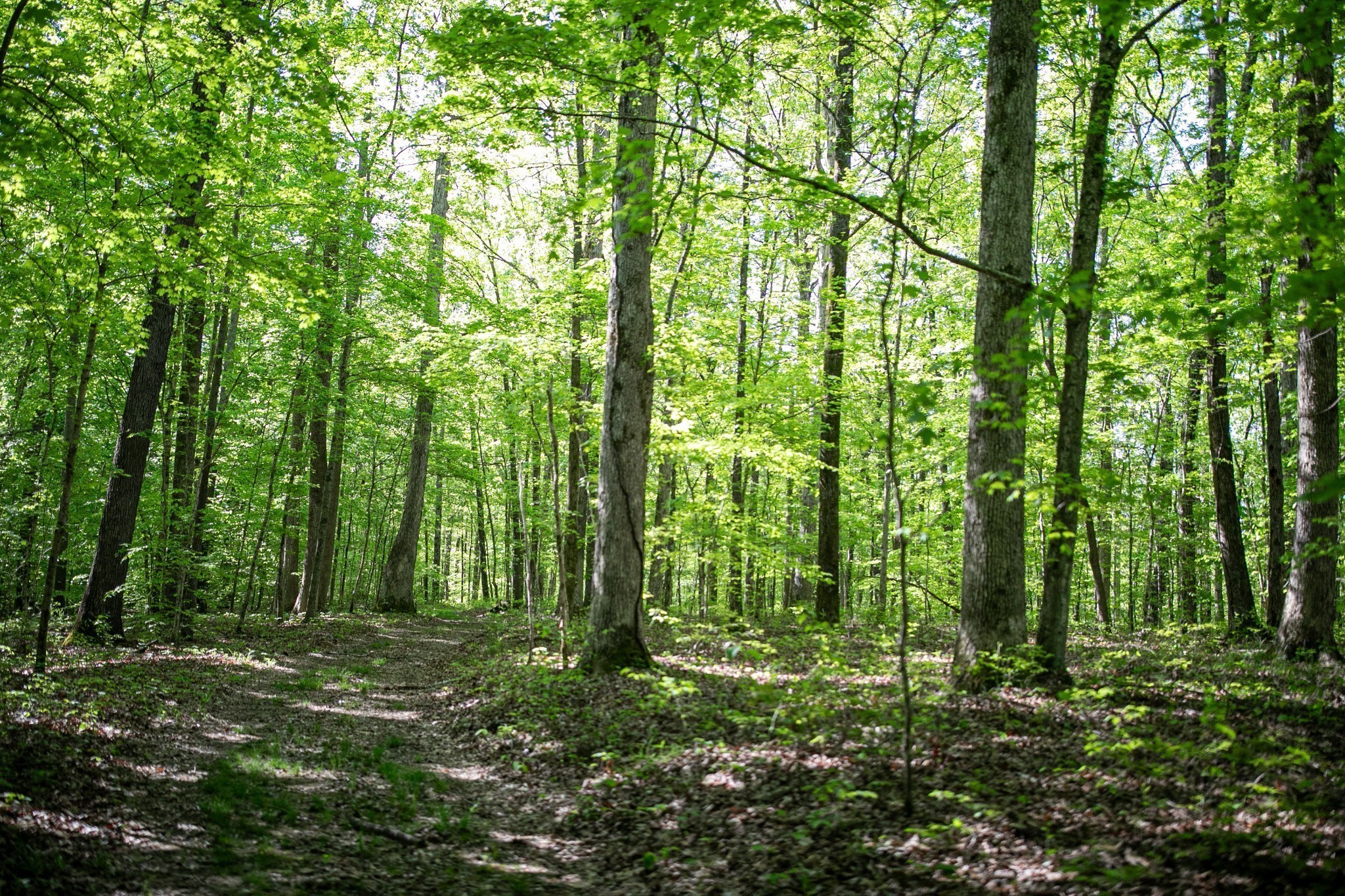 0 Pinewood Road Franklin TN 37064
