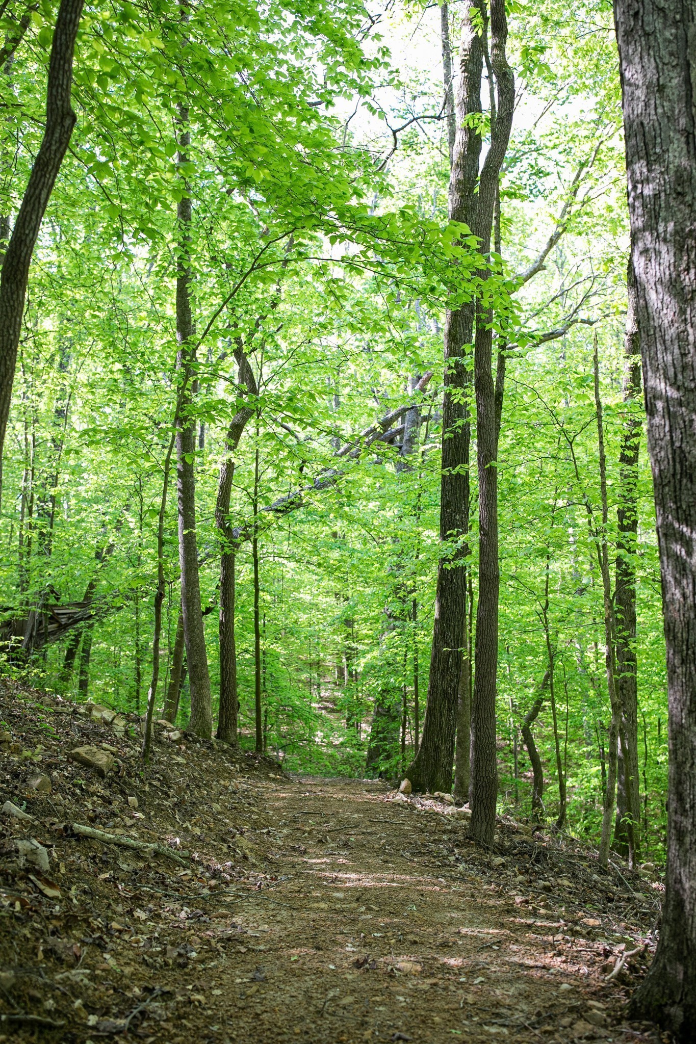 0 Pinewood Road Franklin TN 37064