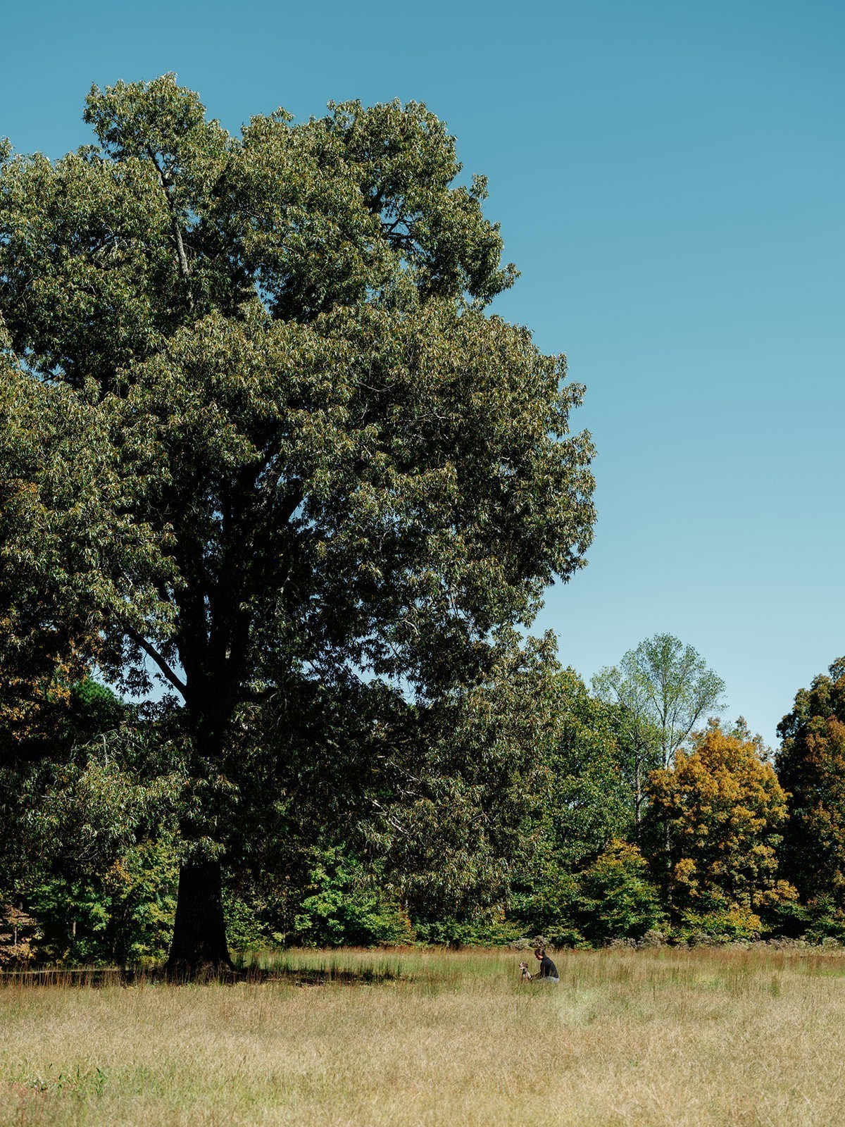 0 Pinewood Road Franklin TN 37064