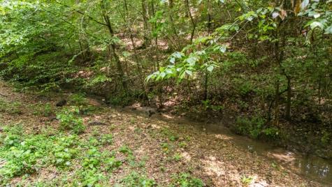 1922 Highway 49, E Charlotte TN 37036