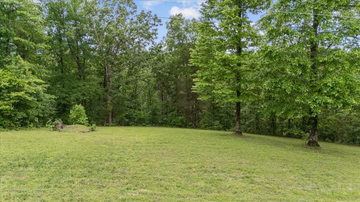 0 Rustic Valley Drive Waverly TN 37185
